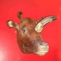 Antique curiosities,  sample of some of the items from Curious Science