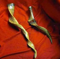 Vintage Animal Horns