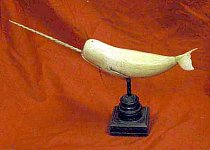 Antique Model Of A Narwhal Whale
