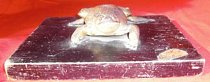Toad on Base