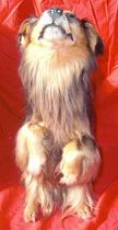 Stuffed Dog