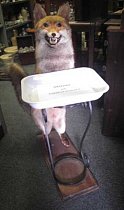 Stuffed Fox Umbrella Stand