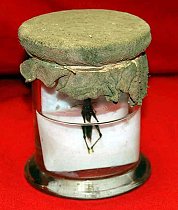 Insect Preserved In Glass Jar