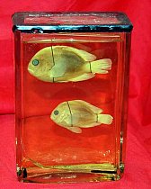 Two Fish Preserved In Glass Tank