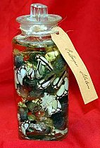 Preserved Items In Glass Jar