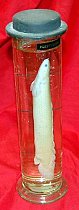 Fish Preserved In Glass Jar