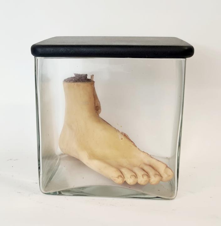 Cross Section Foot In Glass Jar Curious Science 4232