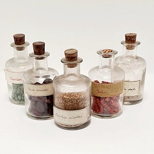 Dry Specimens in Glass Jars