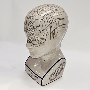 Small Phrenology Head