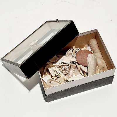 Box of small animal bones