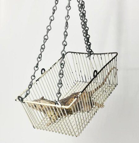 White Metal Basket With Taxidermy Rat
