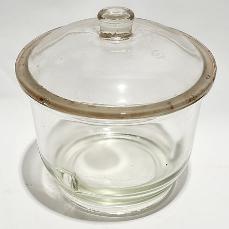 Large Glass Brain Jar