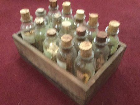 Vintage Dry Specimen Bottles in Case