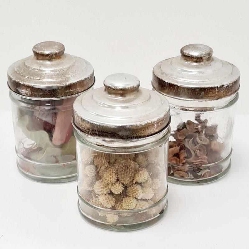 Dry specimens In Glass Jars