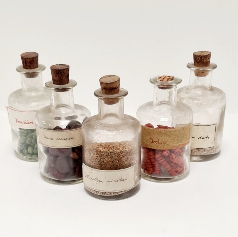 Dry Specimens in Glass Jars